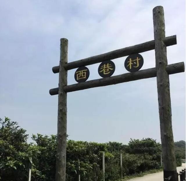 苏州东山西巷村 苏州东山西巷村