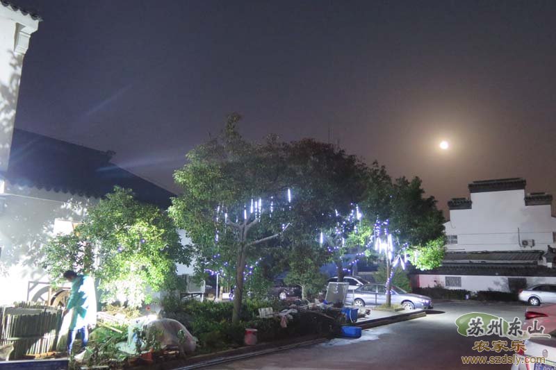 口口东山农家乐夜景