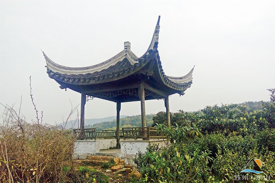 千年名山碧螺峰,碧螺峰上碧螺春